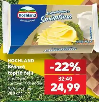 Kaufland HOCHLAND Brânză topită felii Ofertă