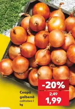 Kaufland Ceapă galbenă Ofertă