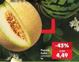 Kaufland Pepene Galia Ofertă