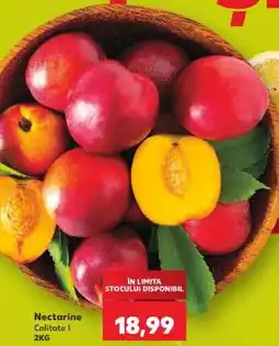 Kaufland Nectarine Ofertă