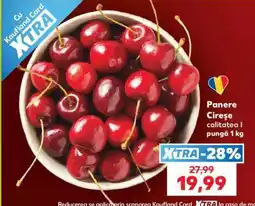Kaufland Panere Cireşe Ofertă