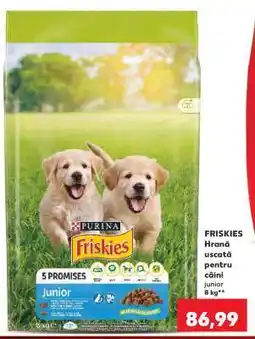 Kaufland FRISKIES Ofertă