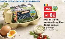 Carrefour Ouă de la găini crescute în aer liber Filiera Calității Carrefour Ofertă