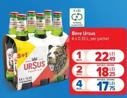 Carrefour Bere Ursus Ofertă