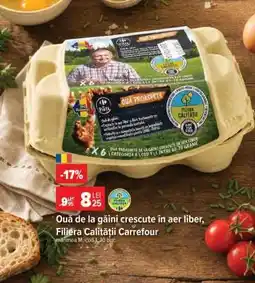 Carrefour Ouă de la găini crescute în aer liber Filiera Calității Carrefour Ofertă