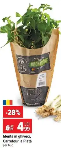 Carrefour Mentă în ghiveci, Carrefour la Piață Ofertă