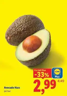 Lidl Avocado Hass Ofertă