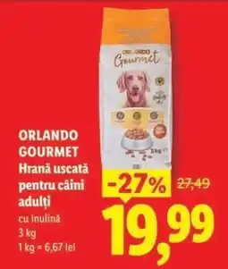Lidl ORLANDO GOURMET Ofertă