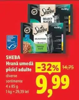 Lidl SHEBA Hrană umedă pisici adulte Ofertă