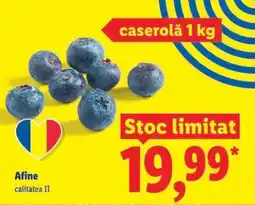 Lidl Afine Ofertă
