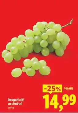 Lidl Struguri albi cu sâmburi Ofertă