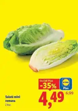 Lidl Salată mini romană Ofertă