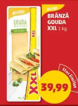 Penny BRÂNZĂ GOUDA XXL 1 kg Ofertă