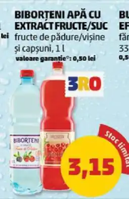 Penny BIBORTENI APĂ CU EXTRACT FRUCTE/SUC Ofertă