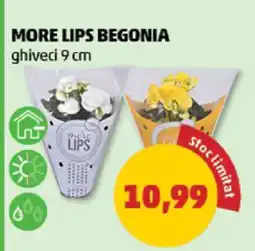 Penny MORE LIPS BEGONIA Ofertă