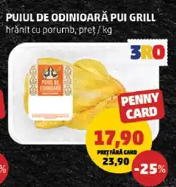 Penny PUJUL DE ODINIOARĂ PUI GRILL Ofertă