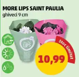 Penny MORE LIPS SAINT PAULIA Ofertă