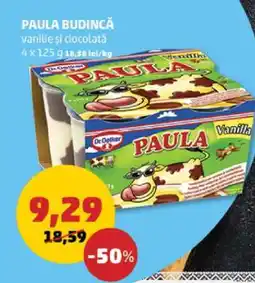 Penny PAULA Budincă Ofertă