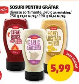 Penny Sosuri pentru grătar Ofertă