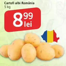 Supeco Cartofi albi România Ofertă