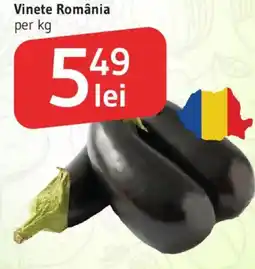 Supeco Vinete România Ofertă