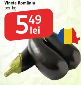 Supeco Vinete România Ofertă