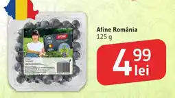 Supeco Afine România Ofertă
