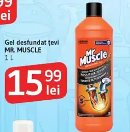Supeco Gel desfundat ţevi MR. MUSCLE Ofertă