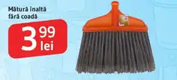 Supeco Mătură înaltă fără coadă Ofertă