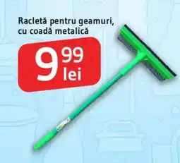 Supeco Racletă pentru geamuri, cu coadă metalică Ofertă