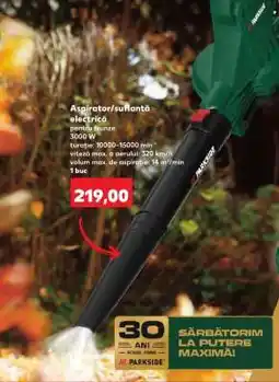 Kaufland Aspirator/suflantă electrică Ofertă