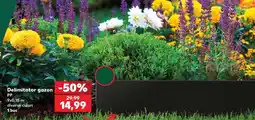 Kaufland Delimitator gazon Ofertă