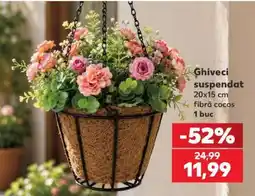 Kaufland Ghiveci suspendat Ofertă