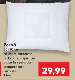 Kaufland Pernă Ofertă