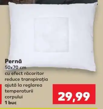 Kaufland Pernă Ofertă
