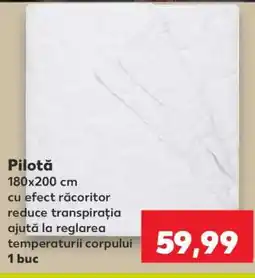 Kaufland Pilotă Ofertă