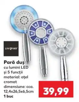 Kaufland Pară duș Ofertă
