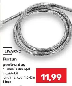 Kaufland Furtun pentru duș Ofertă