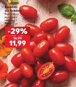 Kaufland Roșii cherry prunișoare Ofertă