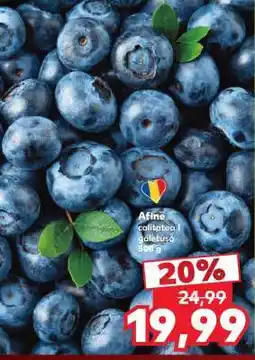 Kaufland Afine Ofertă