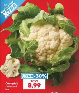 Kaufland Conopidă Ofertă