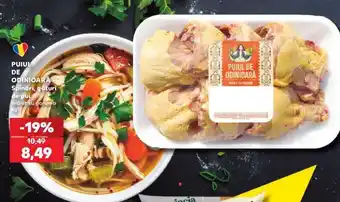 Kaufland PUIUL DE ODINIOARĂ Ofertă