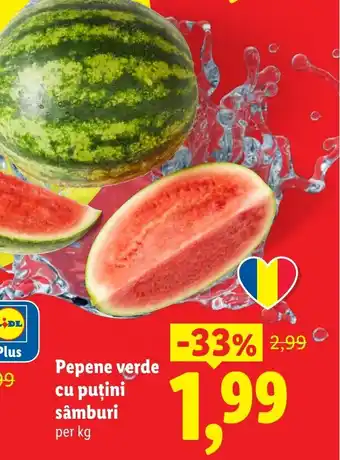 Lidl Pepene verde cu puţini sâmburi Ofertă