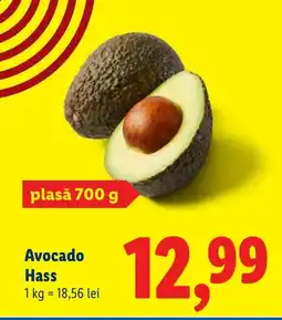 Lidl Avocado Hass Ofertă