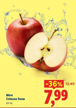 Lidl Mere Crimson Snow Ofertă