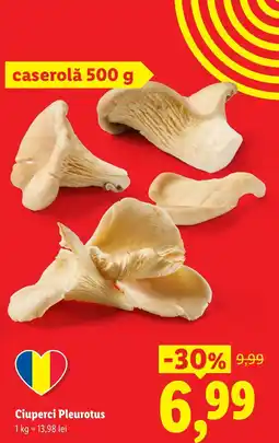 Lidl Ciuperci Pleurotus Ofertă