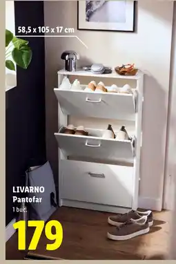 Lidl LIVARNO Pantofar Ofertă