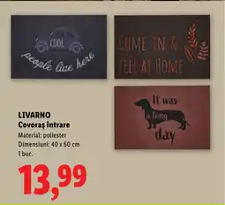 Lidl LIVARNO Covoras intrare Ofertă
