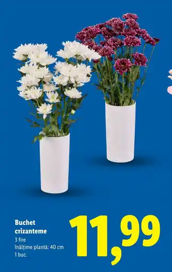 Lidl Buchet crizanteme Ofertă