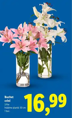Lidl Buchet crini Ofertă